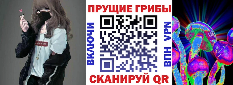 Галлюциногенные грибы Cubensis  даркнет как зайти  Нерчинск  сколько стоит 